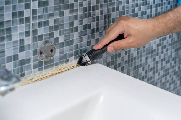 Best Toxic Mold Removal  in Angels, CA
