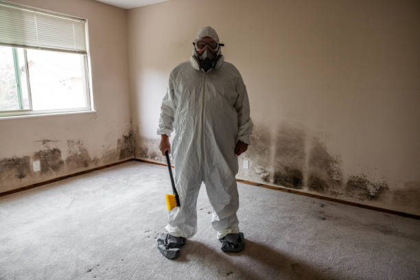 Angels, CA Mold Removal Company